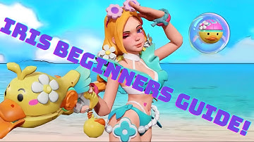 IRIS BEGINNERS GUIDE!