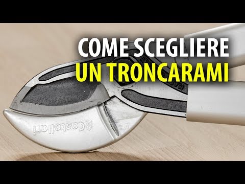 Video: Troncarami Elettrico: Come Scegliere Un Troncarami A Catena Con Manico Lungo Per La Potatura Degli Alberi? Caratteristiche Dei Modelli Bosch