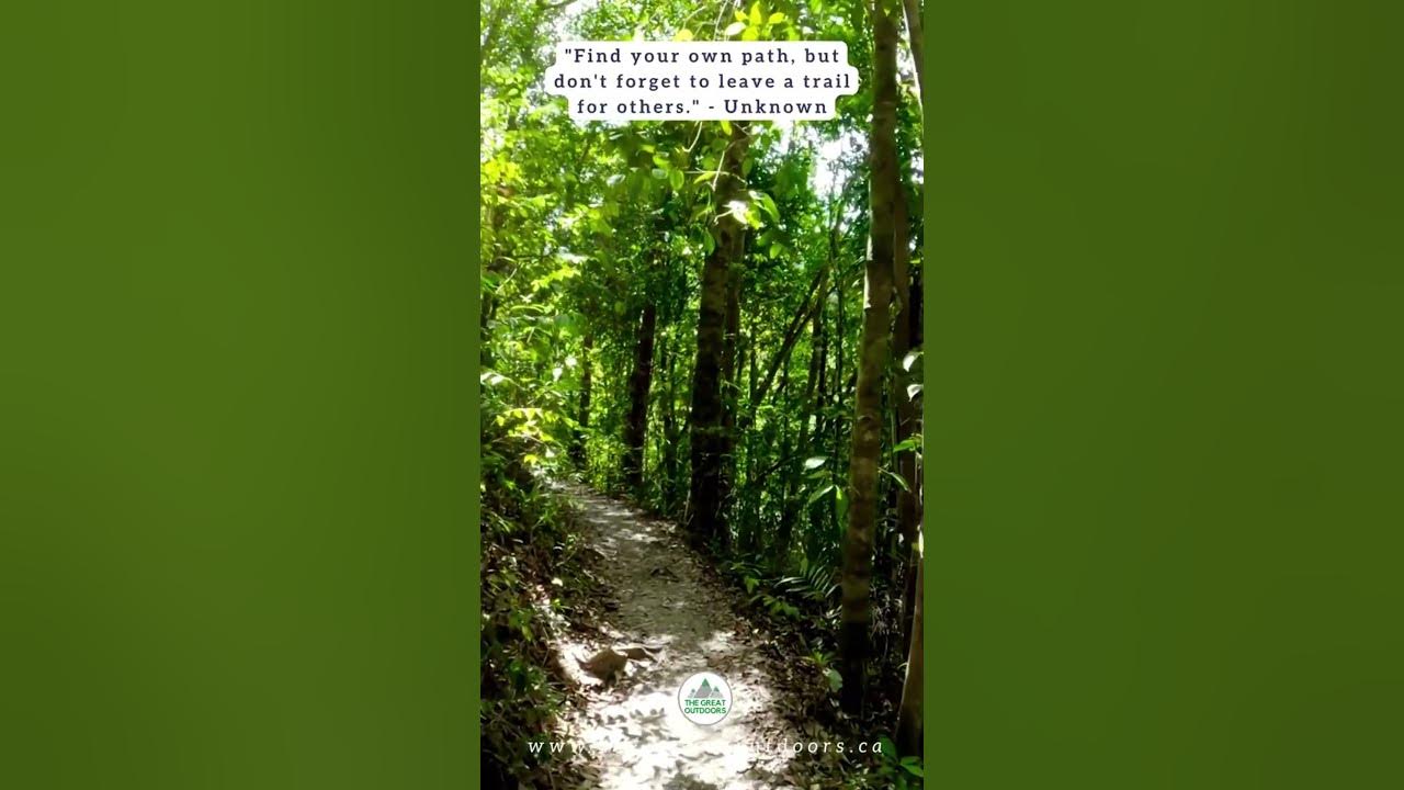 Find Your Own Path But Don t Forget To Leave A Trail For Others path-meaning-in-hindi-path-ka-kya-matlab-hota-hai-path-meaning