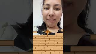 Help Jerry #shorts #shortvideo #fyp #reels #comparte #like #trend #retro Help Jerry #shorts #shortvideo #fyp #reels #comparte #like #trend #retro