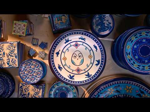 THE GODAWAN | Return of The Great Indian Bustard | Stopmotion Film with BTS | Studio Eeksaurus