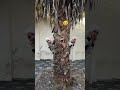 watch funny 😄 video laugh and enjoy yourself #funny #comedy #growth #viralvideo #comedy