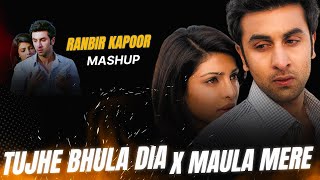 Tujhe Bhula Dia X Maula Mere Arijit Singh Latest Bollywood Song No.1 Song