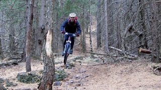 Mountainbike Harz