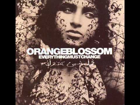Orange Blossom - Habibi