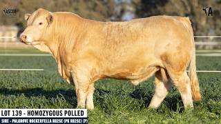 LOT 139 : ASCOT VICTORY LAP V169E AI P RF