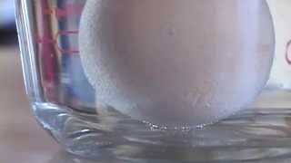 DIY Science Experiments: Soft Shell Egg // Lesson 13 // Part 2 screenshot 3