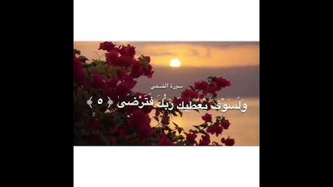 سورة الضحى || بصوت خاشع ورائع || القرآن الكريم ||حالات واتس اب دينيه || خواطر دينيه