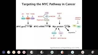 Small Molecule MYC Inhibitors for Cancer Therapy