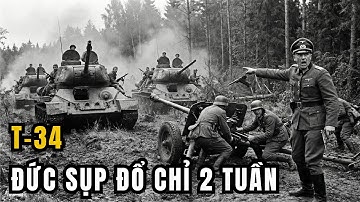 Chiến Dịch Bagration | Khi Đạo Quân T-34 Giấu Trong Rừng Xóa Sổ Cụm Tập Đoàn Quân Trung Tâm Đức