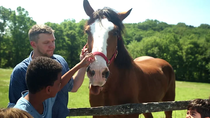 Fosterfields Living Historical Farm Full Video