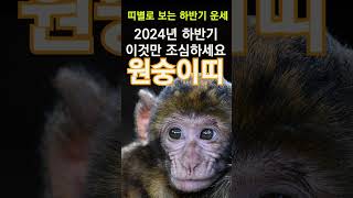 2024년 갑진년 하반기 띠별운세! 원숭이띠분들은 이것만 조심하면 됩니다! 2024년 하반기 운세 띠별로 확…