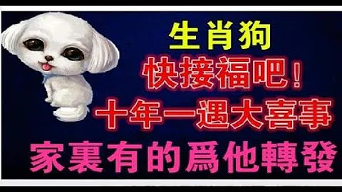 生肖狗：十年一遇大喜事，快來接吧。你身邊屬狗的嗎？| 星座生肖 - 天天要聞