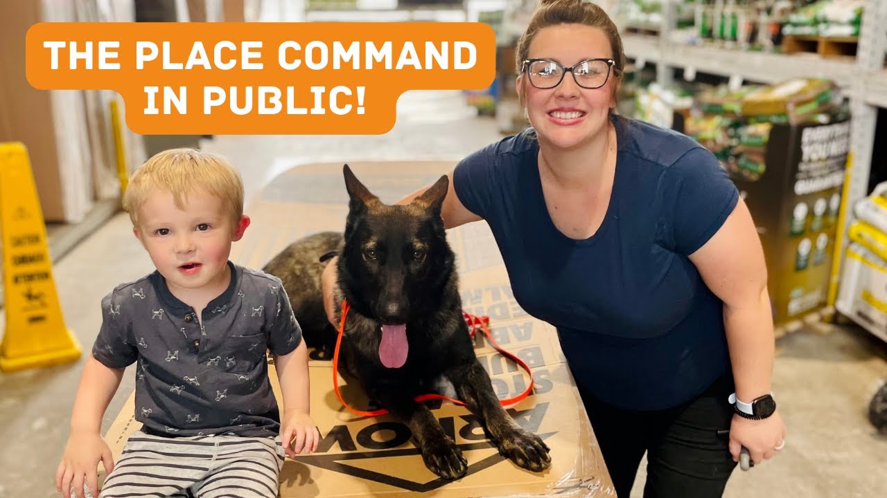 Teaching The Place Command in Lowe's | Expert Dog Training - YouTube