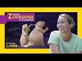 Prairie Dog Diet and Behavior