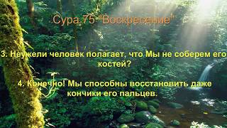 сура АльКияма (Воскресение.Воскрешение)чтец Саад АльГамди