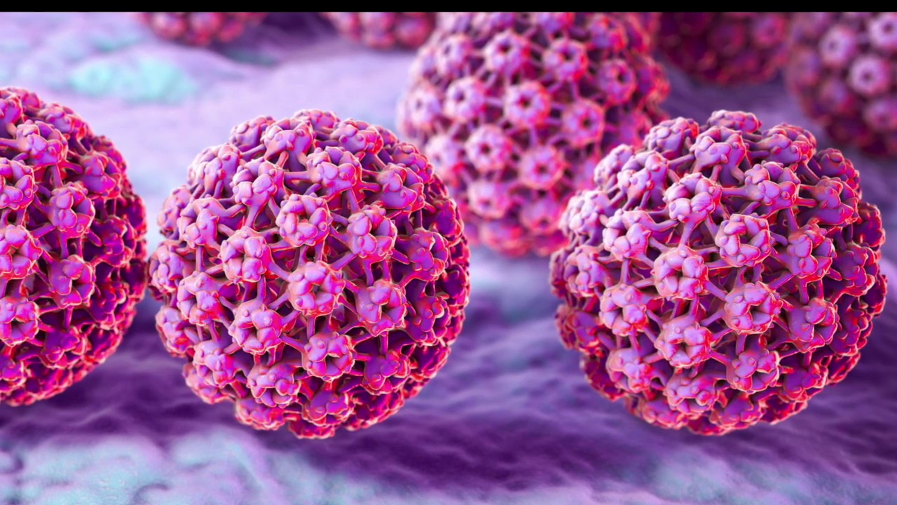 Infectie Genitala Human Papilloma Virus Hpv Que Caracteristicas