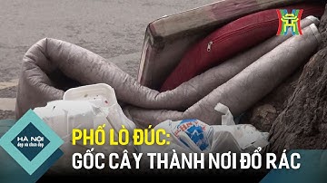 Phố Lò Đúc: Gốc cây thành nơi đổ rác | Hà Nội đẹp và chưa đẹp
