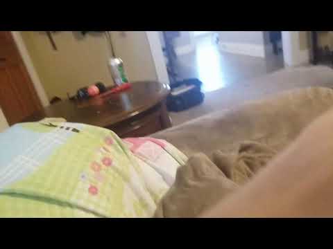 Kid farts at living room couch