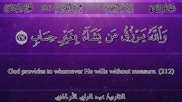 عبد الولي الأركاني - {يا أيها الذين آمنوا ادخلوا في السلم...} سورة البقرة | Abdulwali Al-Arkani