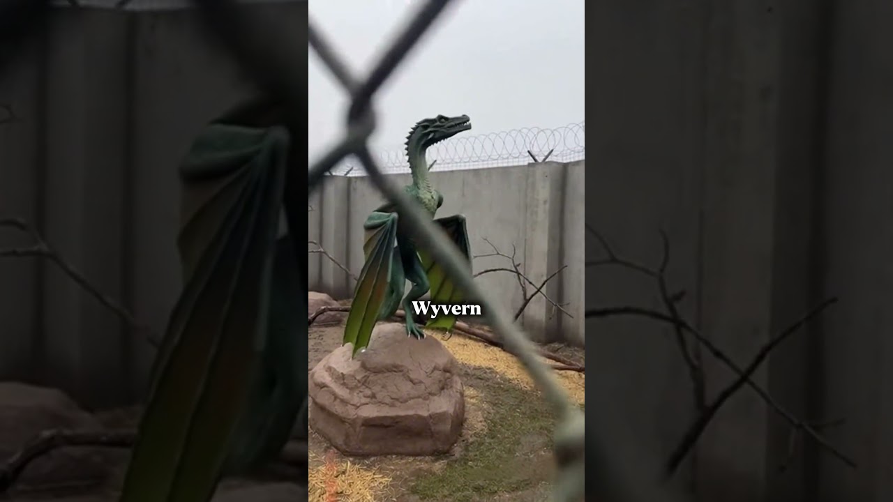 LEAKED FOOTAGE: The Secret European Dragon Zoo 🐉 