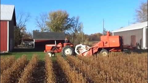 Allis Chalmers Allcrop 72 combine in soybeans