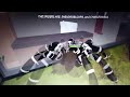 Playing LIVE INSIDE A SPIDER CAGE! roblox! My profile is 5HeadRoboxP8!