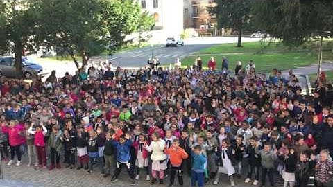 Flash mob scuola primaria