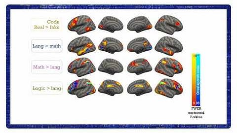 Computer code comprehension shares neural resources with formal logic and math
