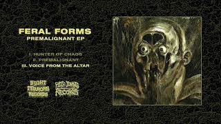FERAL FORMS "Voice From The Altar" (2023) New Track