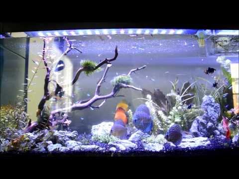 maxspect razor r420r 160w