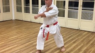 Wansu Kata & Details by Angel Lemus Sensei