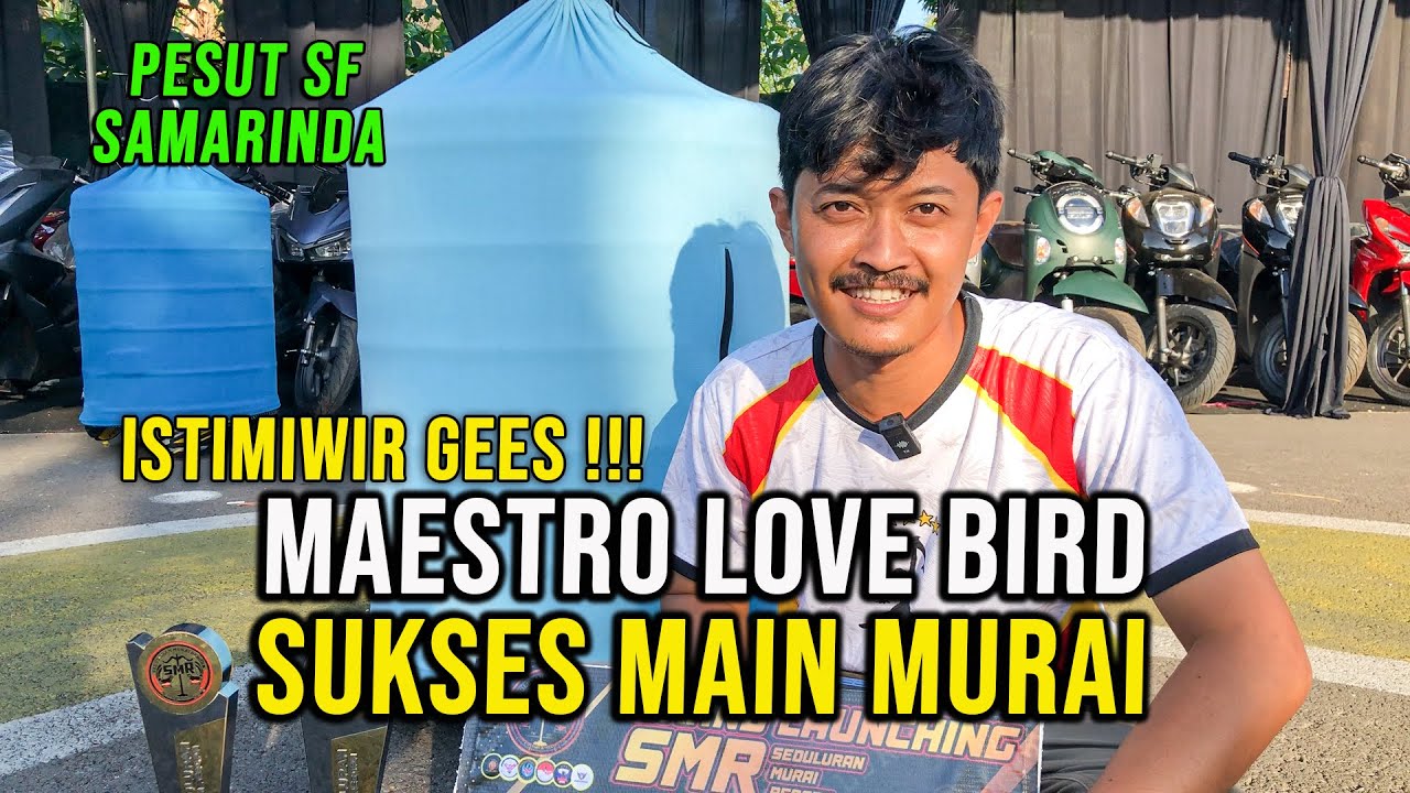 TERHARU !!!  MAESTRO LB 