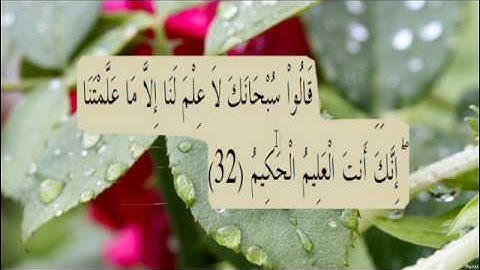 القران الكريم سورة البقرة الاية 32