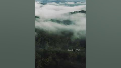 FLYCAM -SĂN MÂY TẠI ĐỒI CỎ HỒNG ĐÀ LẠT - TIKTOK VIDEO