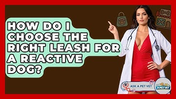 How Do I Choose The Right Leash For A Reactive Dog? - Ask A Pet Vet