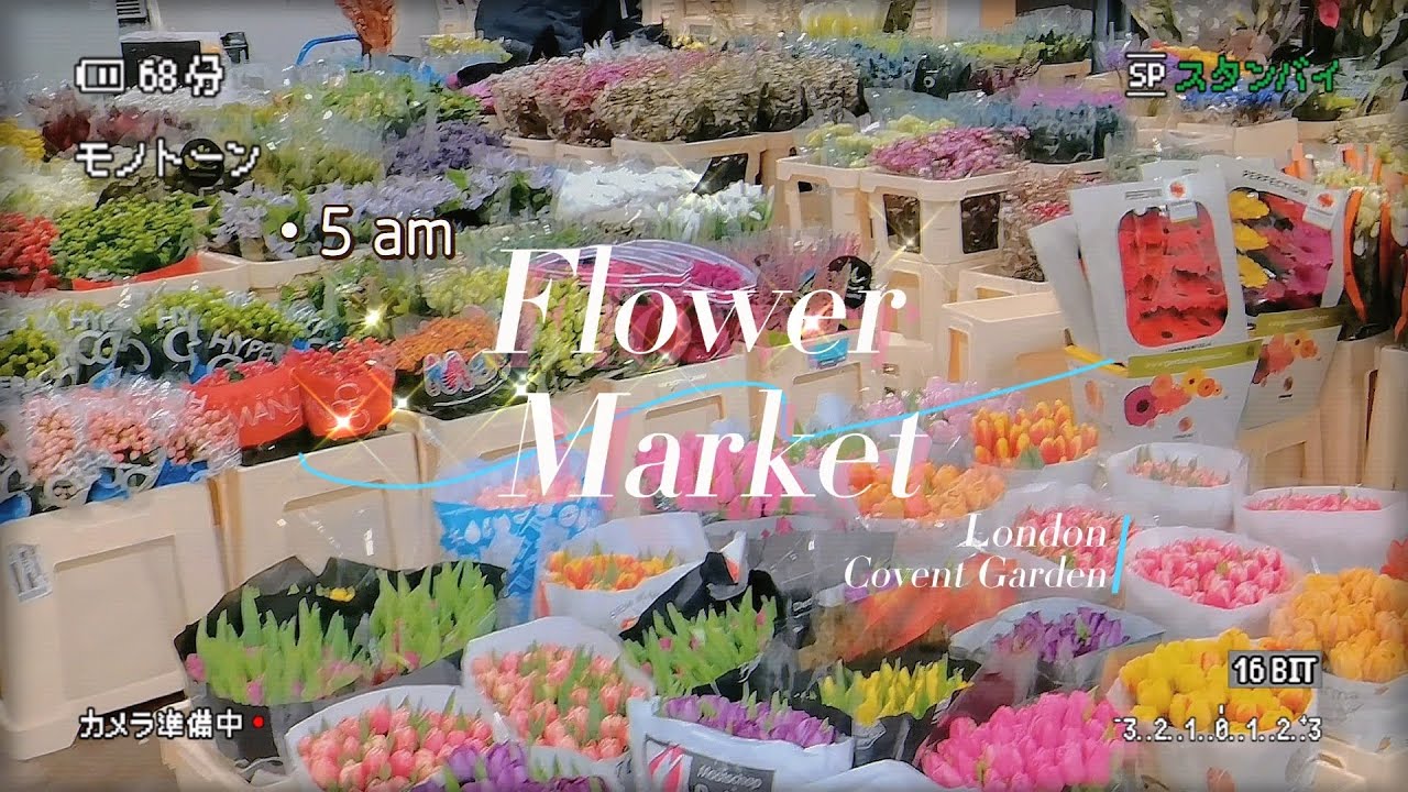 5am in wholesale flower market｜ London Covent Garden YouTube