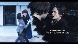 Newt &amp; Porpentina / Ron &amp; Hermione