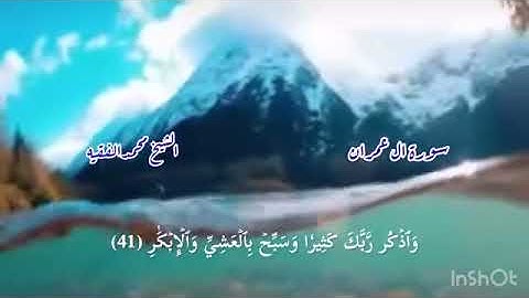 تلاوة عطرة ما تيسر من « سورة ال عمران » للشيخ.محمد الفقيه حفظه الله.