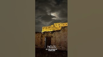 أكتب شئ تؤجر عليهَ. #قران_كريم #محمد_اللحيدان #تلاوة_خاشعة