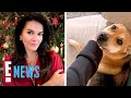 New Details Surrounding Angie Harmon’s Dog Being Killed By a Delivery Driver