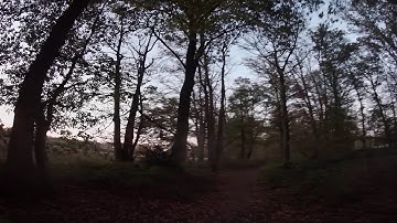 First Failsafe with Crossfire - TX Battery too low 😯