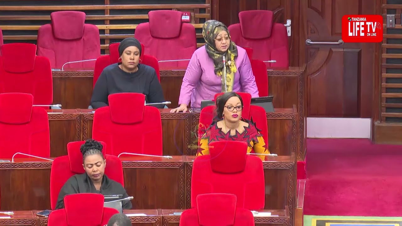 MBUNGE LINDI ATAKA MRADI WA LNG UTEKELEZWE KAMA ULIVYOPANGWA