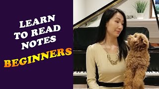 Learn to Read Piano Notes for Beginners