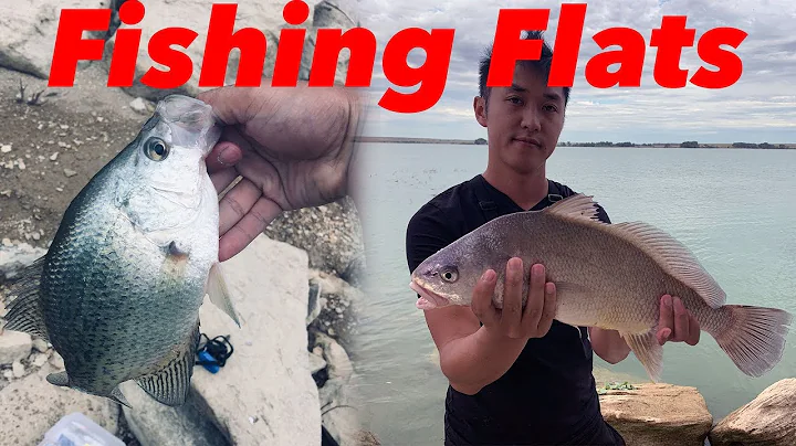 Found them in the Flats, Sterling Colorado, crappi...