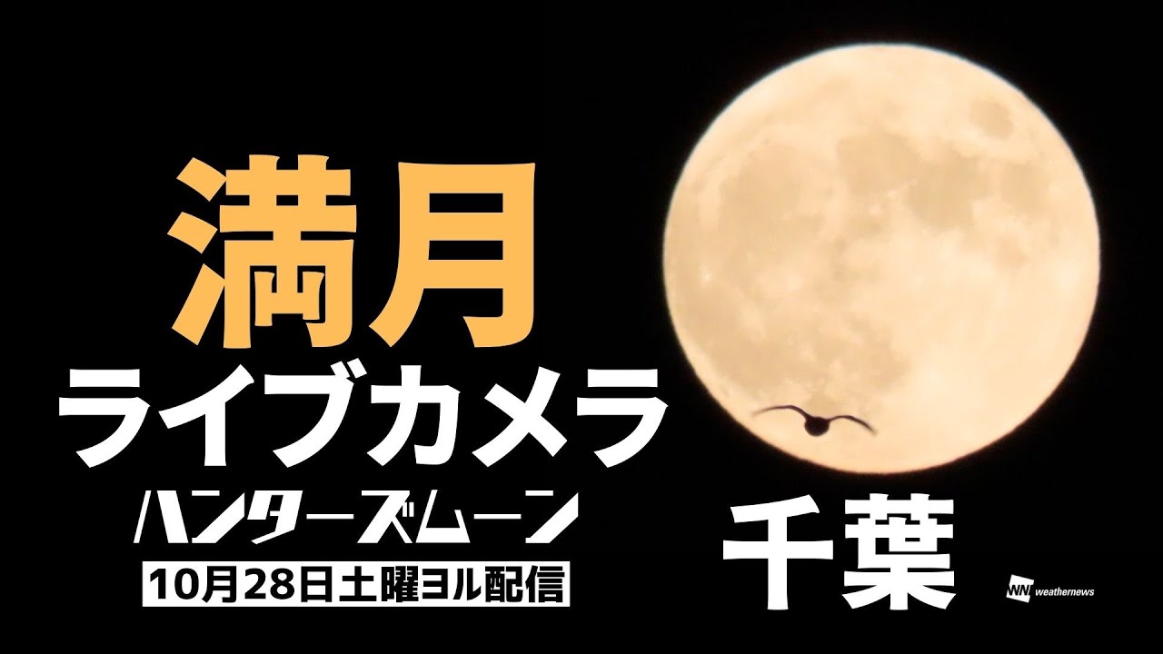 【LIVE】満月ライブカメラ「ハンターズムーン」in千葉／お月見ライブ 2023.10.28(土)