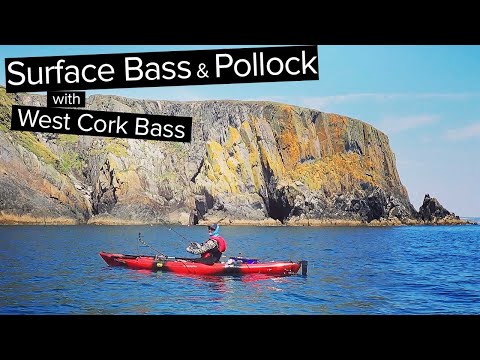 Bass Surface Fishing