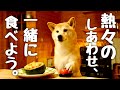 秋めく夜に、柴犬に捧げる手作りグラタンのごちそう