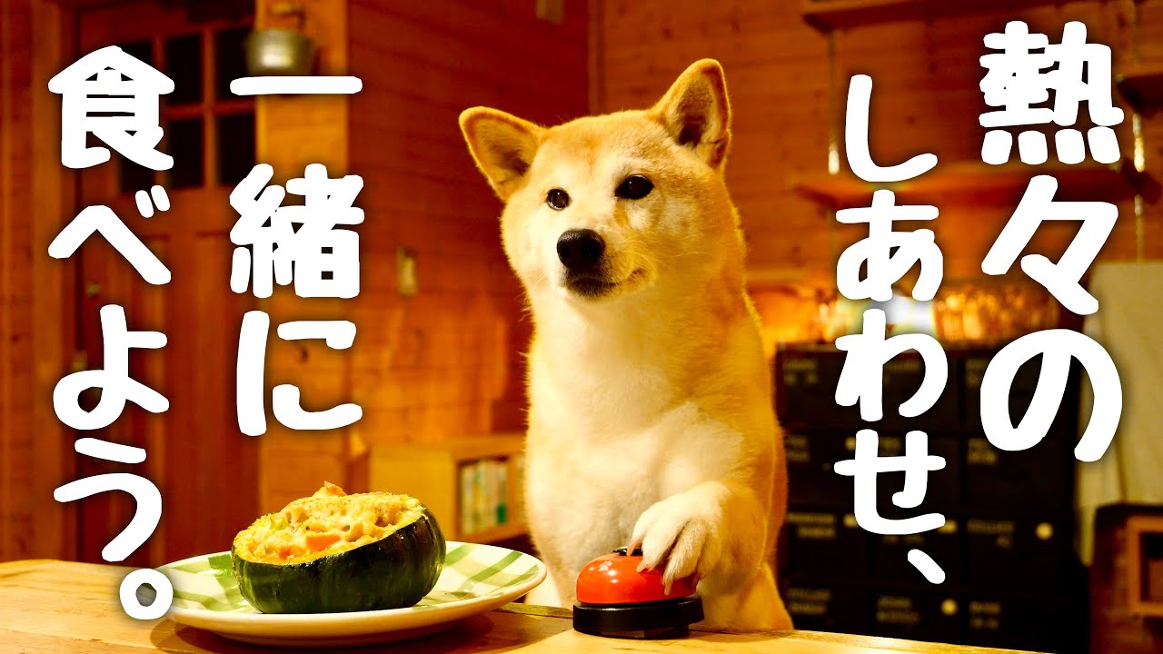 秋めく夜に、柴犬に捧げる手作りグラタンのごちそう