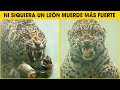 Cosas Que No Sabias De Los Jaguares | Jaguar